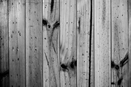 Natural wood floors, patterned gray and black.の写真素材