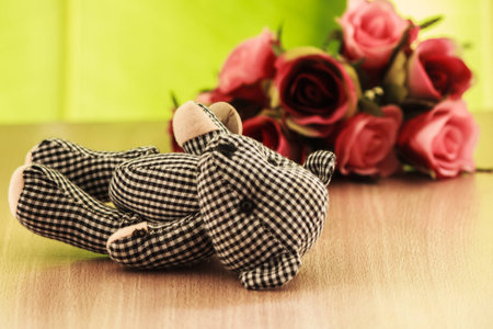 Teddy bears, little black plaid lying on the ground.の写真素材