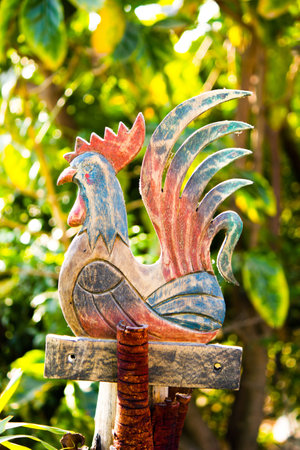 The chicken made of woodの写真素材