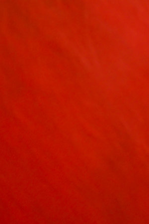 The paper is taken as a background for use in the presentation.の写真素材