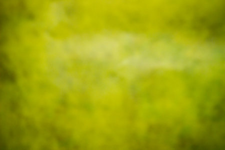 The paper is taken as a background for use in the presentation.の写真素材