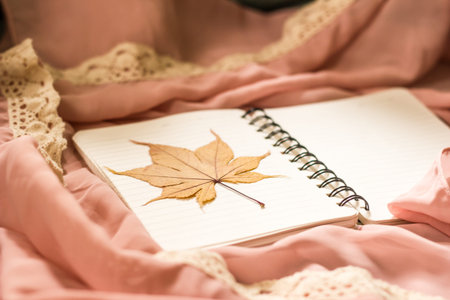 Notebook with dry leaves stored as collectiblesの写真素材