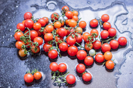 Red tomatoes are small in size.の写真素材