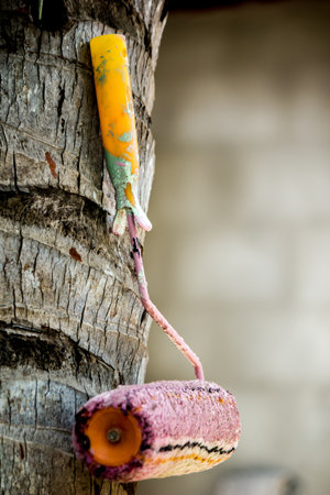 Used paint roller hangs on the coconut tree.の写真素材
