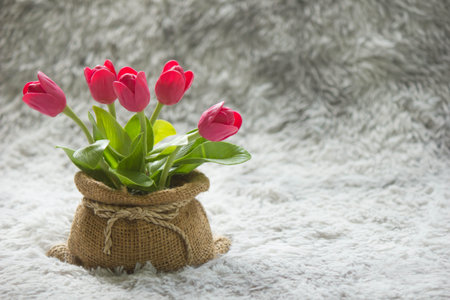 Tulips in beautiful decorative pots