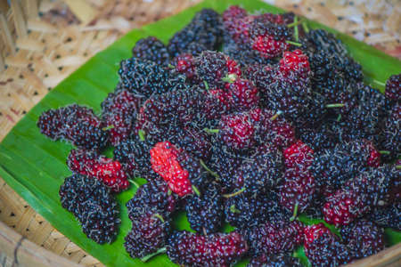 A large number of ripe mulberries, followed by banana leaves, are in wicker baskets.の写真素材