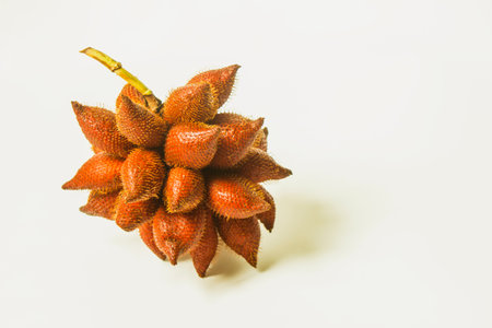 Snake fruit is a delicious sweet and sour fruit on a white background.の写真素材