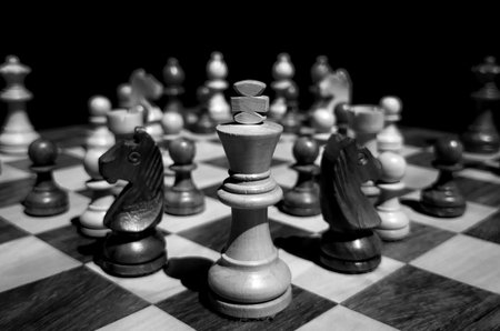Still life shot of king and other pieces on wooden chess board with blurred background