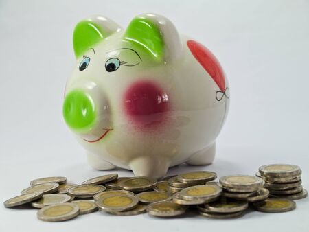 Piggy Bank and Coin Isolatedの写真素材