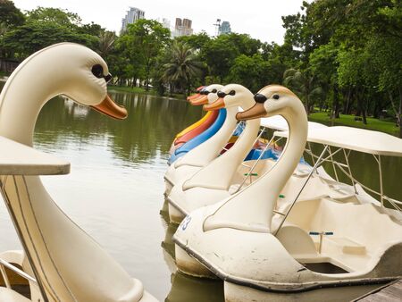Watercycle boat in parkの写真素材
