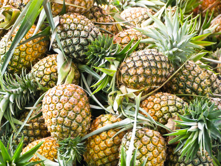 Pineapple, tropical fruit in Thailandの写真素材