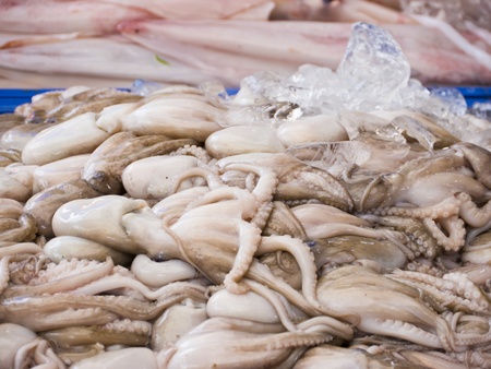 Octopus in marketの写真素材