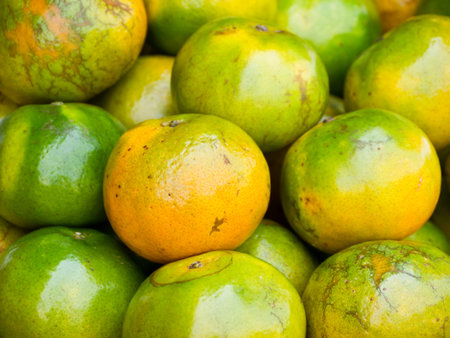 Orange fruits or Genus citrus