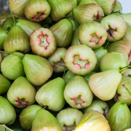 Sweet rose appleの写真素材