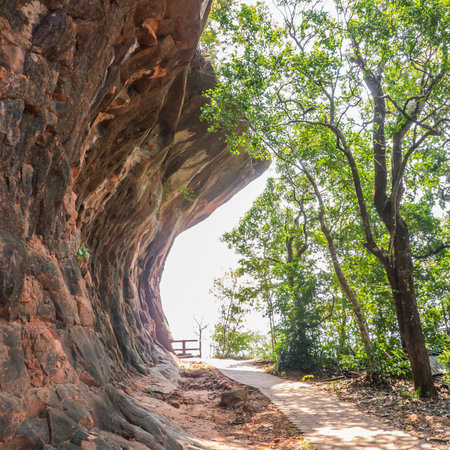 Pathway on mountain at Phutok, Thailandの写真素材