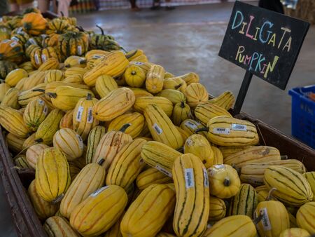 Pumpkins in local marketの写真素材