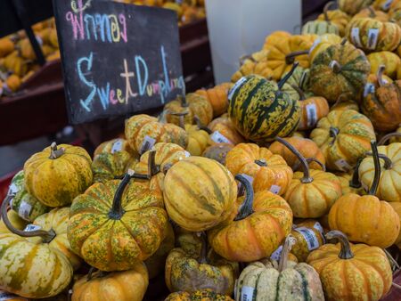 Pumpkins in local marketの写真素材