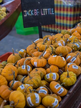 Pumpkins in local marketの写真素材