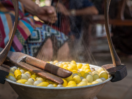 Draw the silk from cocoonsの写真素材