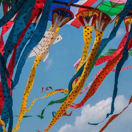 Snake kites for saleの写真素材