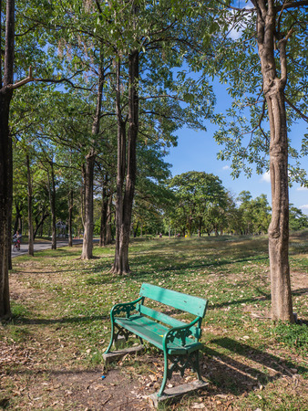 Empty chair in public park, Bangkokの写真素材