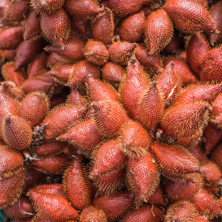 Salacca or salak in Thai local marketの写真素材