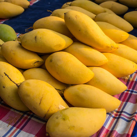 Ripe mango, tropical fruit in local marketの写真素材