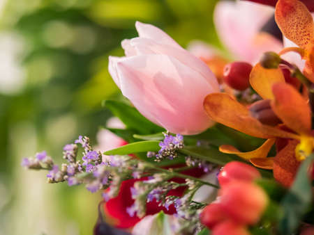 Bouquet of colorful flowersの写真素材