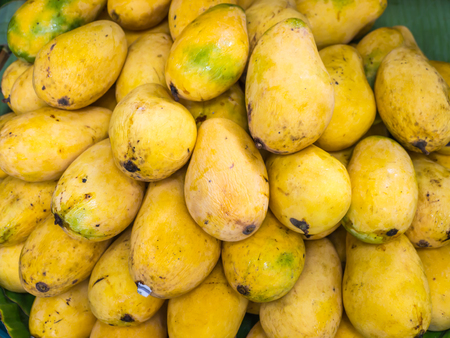 Ripe yellow mango in local marketの写真素材