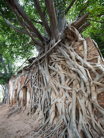 Ruin and ancient Buddhist temple, Wat Sangkrataiの写真素材