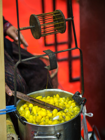 The process of obtaining silk thread from silkworm cocoonsの写真素材