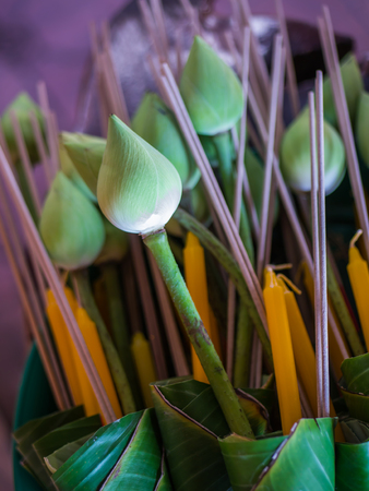 Lotus flowers, incense and candle for worship in Buddhismの写真素材
