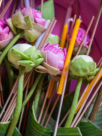Lotus flowers, incense and candle for worship in Buddhismの写真素材