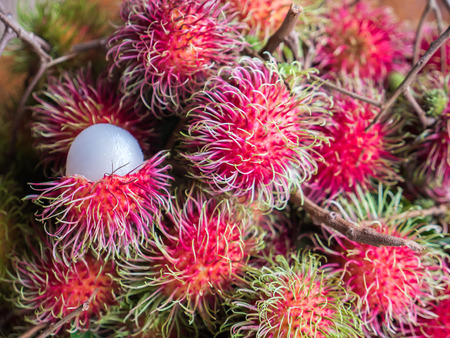 Red rambutan, natural Thai tropical fruitの写真素材