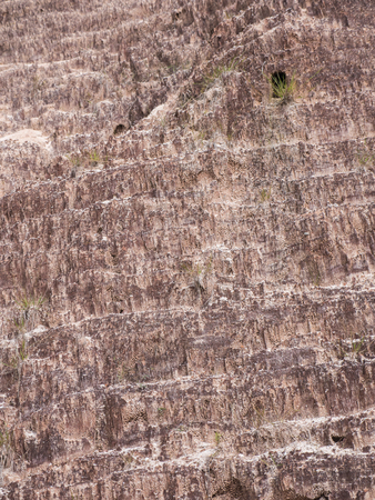Natural sand dune wall backgroundの写真素材
