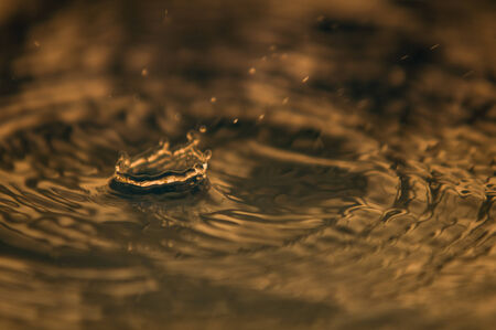 Water Drop の写真素材