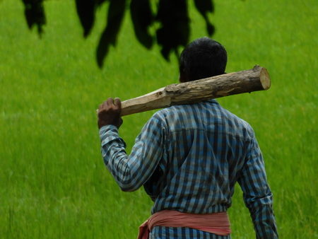 A Indian Farmer Going to the filedの写真素材