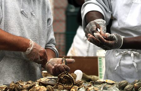Hands shucking oystersのeditorial素材