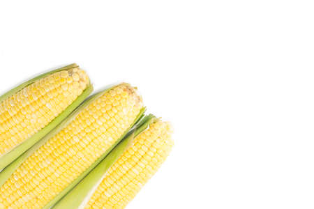 Corn on white backgroundの写真素材