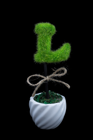 "L" Character Plant in pot on Black backgroundの写真素材