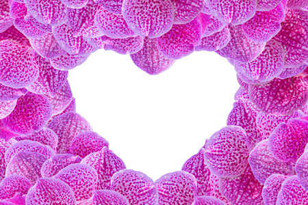 Pink Orchid Flowers heart pattern for valentines dayの写真素材