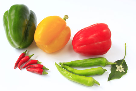different peppers and chilis before white background