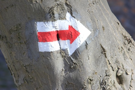 red-white arrow on a trunkの写真素材