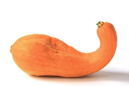 Ornamental squash, before a white backgroundの写真素材