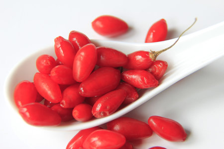 ripe, freshly picked goji berries  Lycium barbarum 