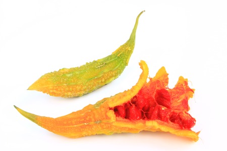 ripe bitter melon isolated in front of white background (Momordica charantia)の写真素材