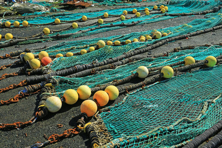 Fishing nets in the port of Loctudy, Finistere, Brittany, France spread to dry