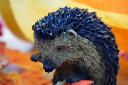 Hedgehog figurine with autumnal backgroundの写真素材