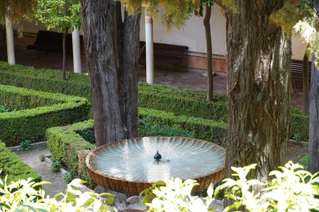 Generalife Palace and the fortress, Alhambra, Granada, Spainの写真素材