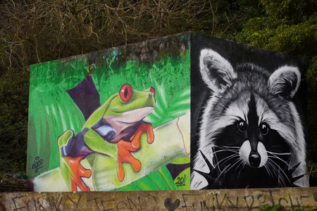 Street Art on a wall adorned with Colorful Works in Almada